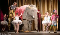 Der Elefant wird gezähmt; Foto: Gerhard Maly