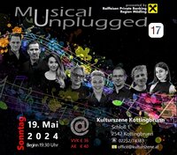 Musical Unplugged 17 
