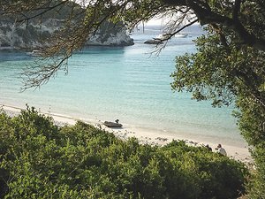 Antipaxos
